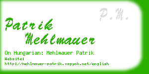 patrik mehlmauer business card